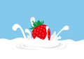 Illustration of strawberry dive to milk and splash